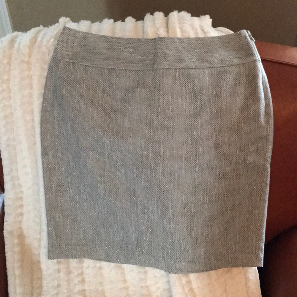 Limited Skirt Light Grey with Gold Specks - Size 6